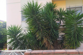 La Yucca